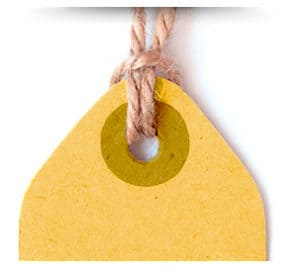 Faciliter la mise en réseau (public, privé, associatif) 
